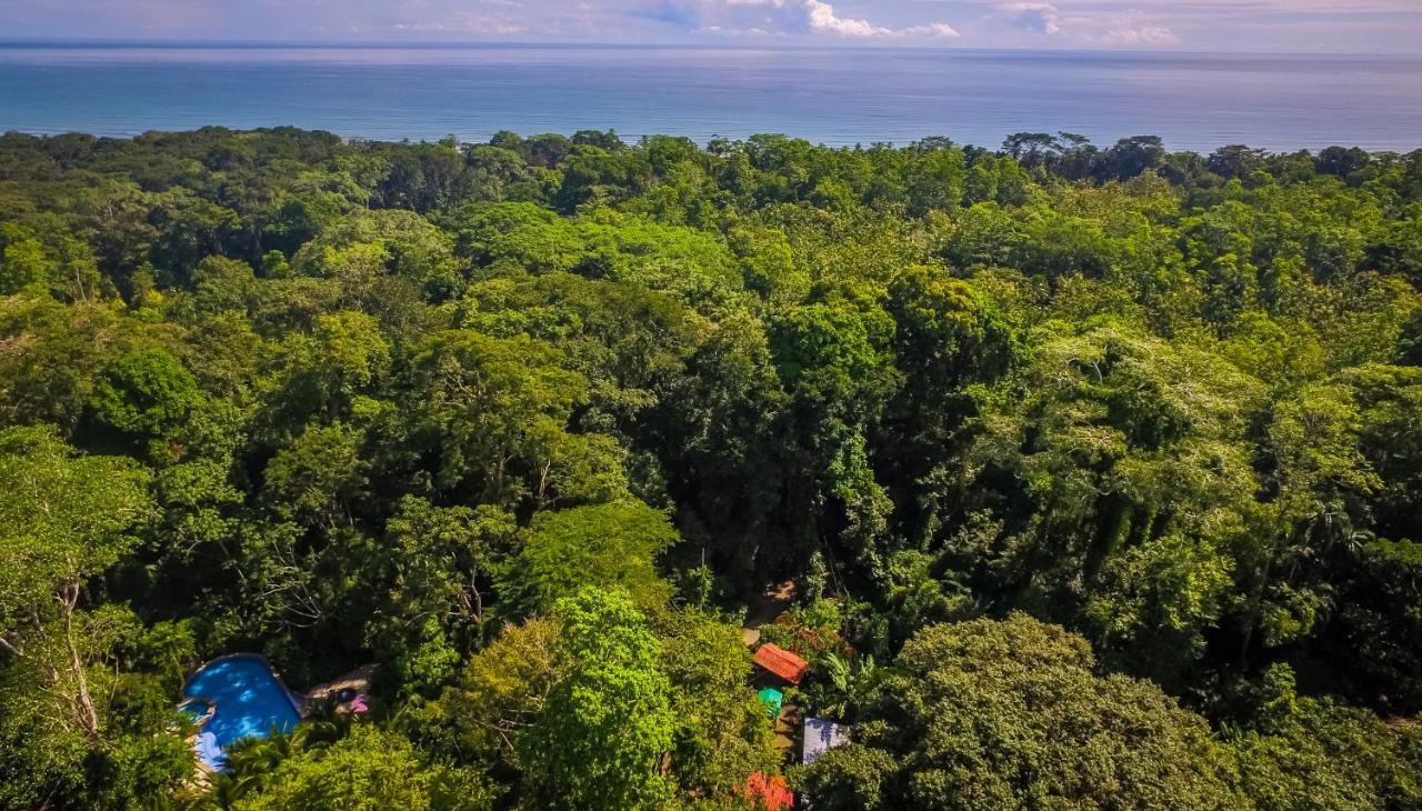 The Goddess Garden Eco-Resort Cahuita Bagian luar foto