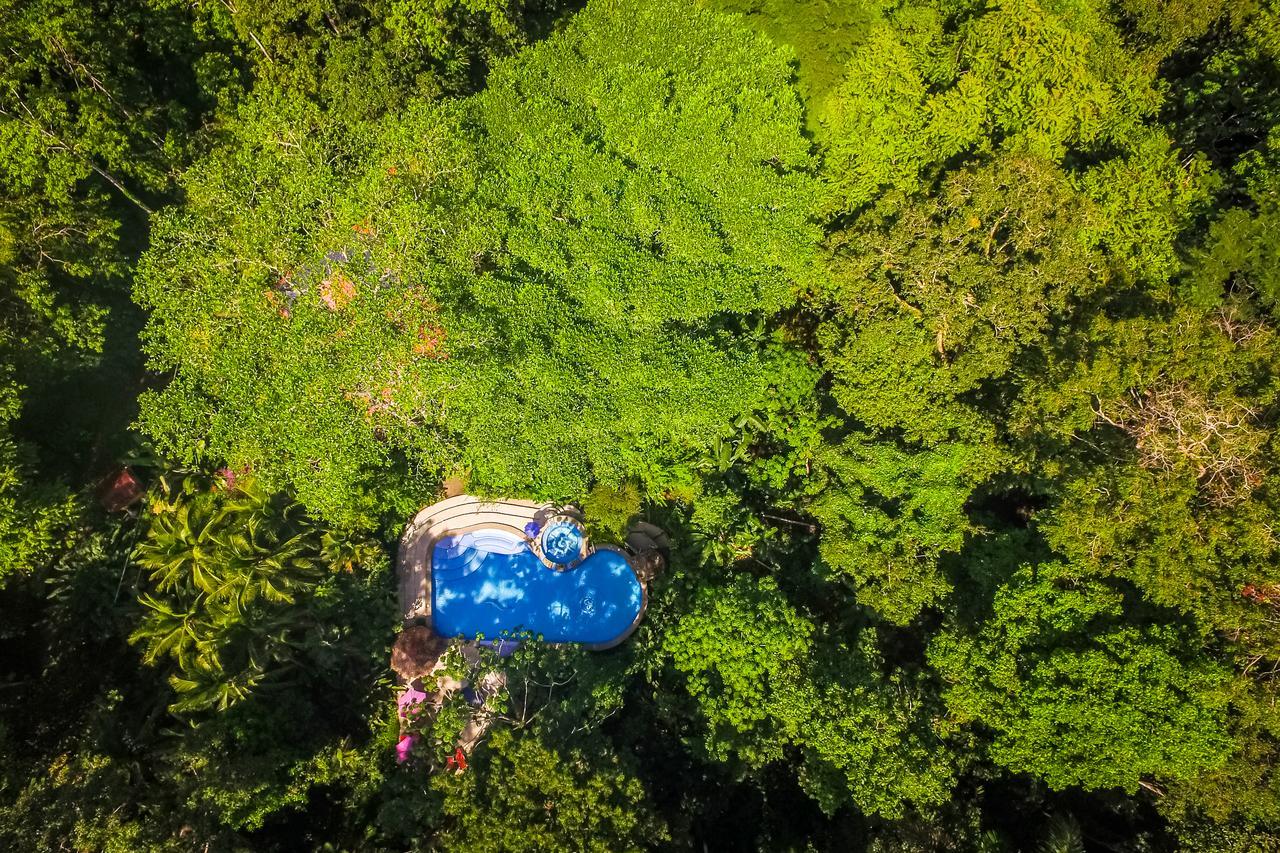 The Goddess Garden Eco-Resort Cahuita Bagian luar foto
