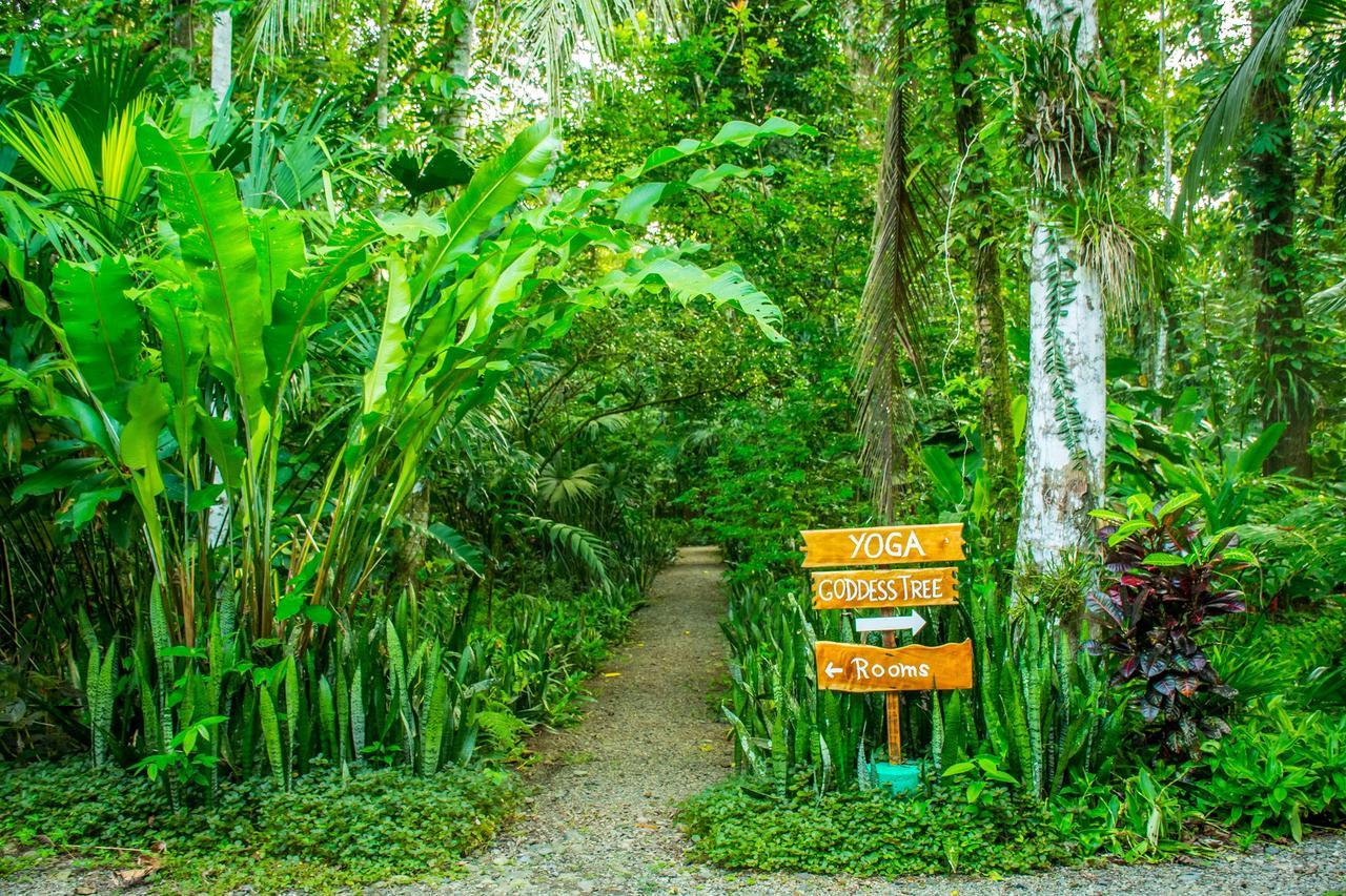 The Goddess Garden Eco-Resort Cahuita Bagian luar foto